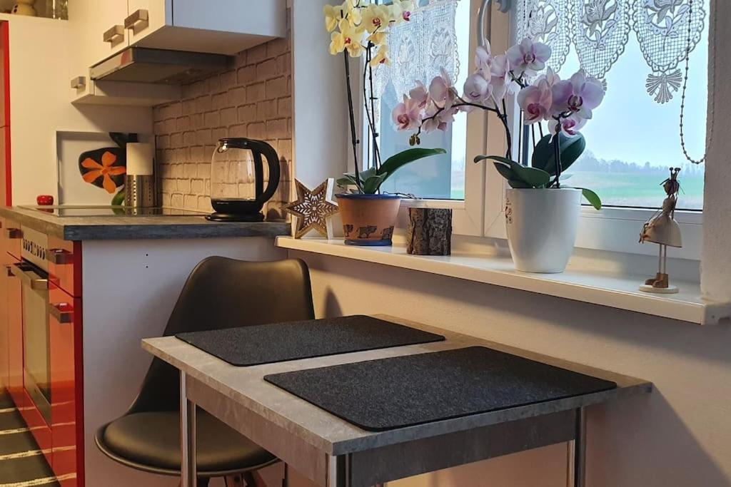 Kleine Auszeit Appartement Lauben (Oberallgau)